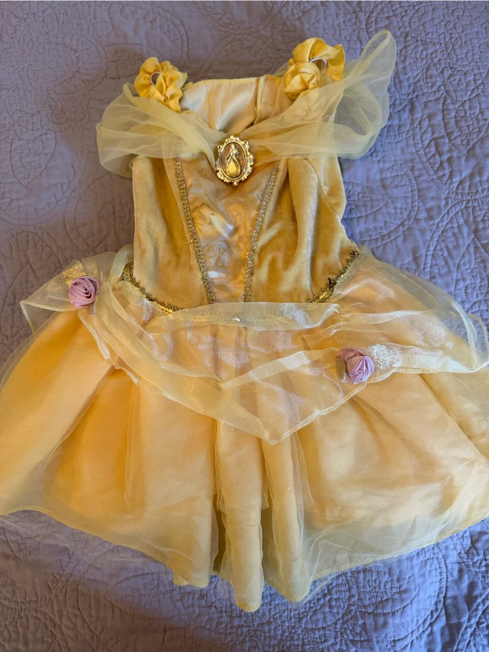 Disney Princess “Belle” Tulle Dress-Up Costume for Kids